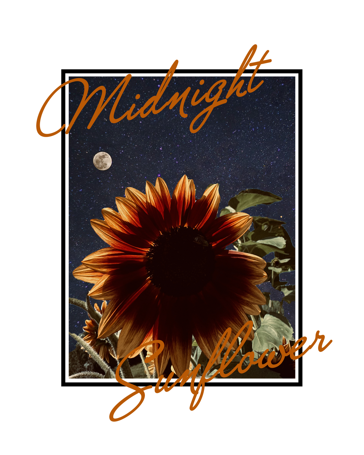 Midnight Sunflower Boutique Gift Card