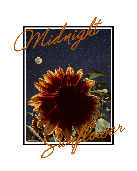 Midnight Sunflower Boutique Gift Card